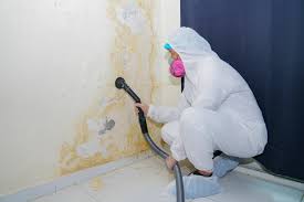 Best Biohazard Mold Removal  in USA